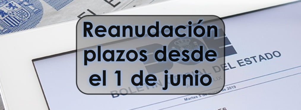 Renaudación plazos