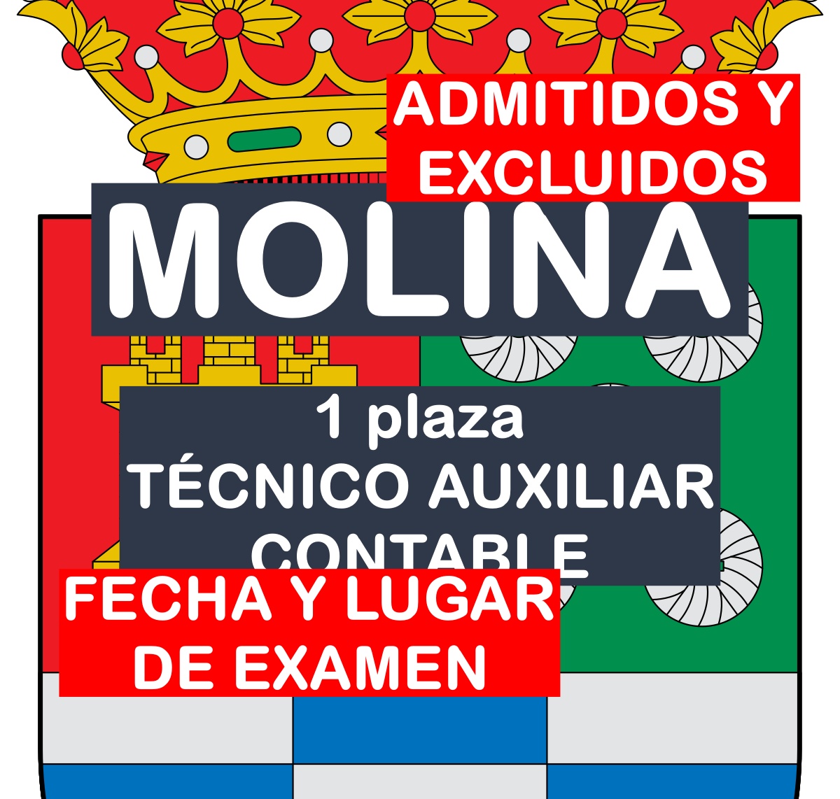 1 plaza técnico auxiliar contable en Molina