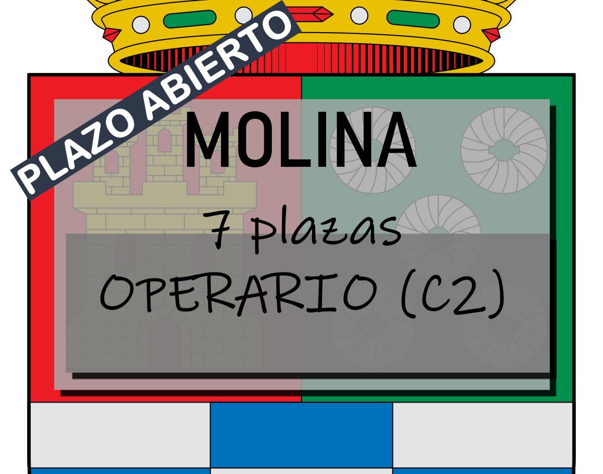 7 plazas operario Molina