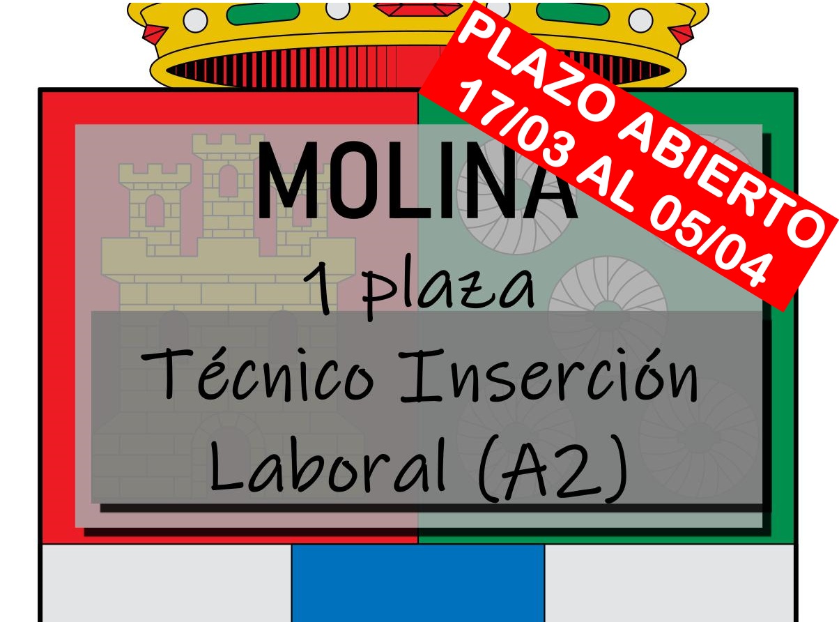 1 Técnico de Inserción Laboral Molina