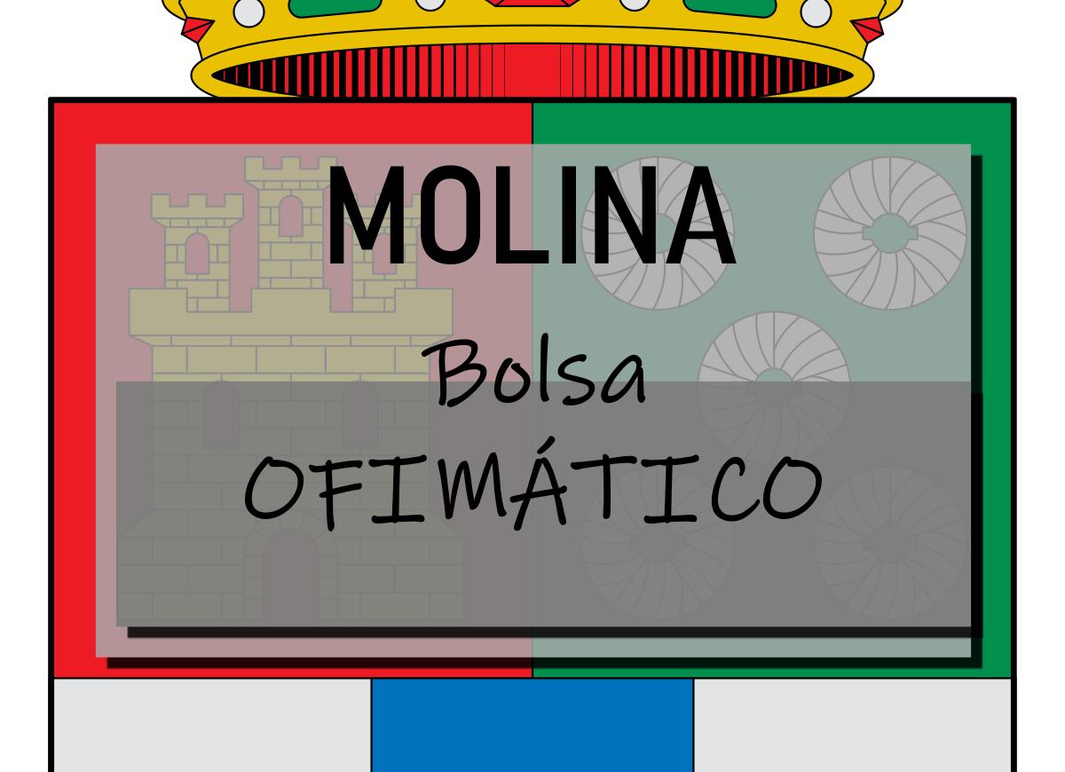 Bolsa de Ofimático de Molina de Segura