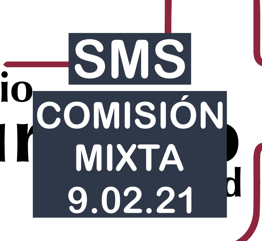 Comisión mixta de la Bolsa del SMS el 9 de febrero de 2021