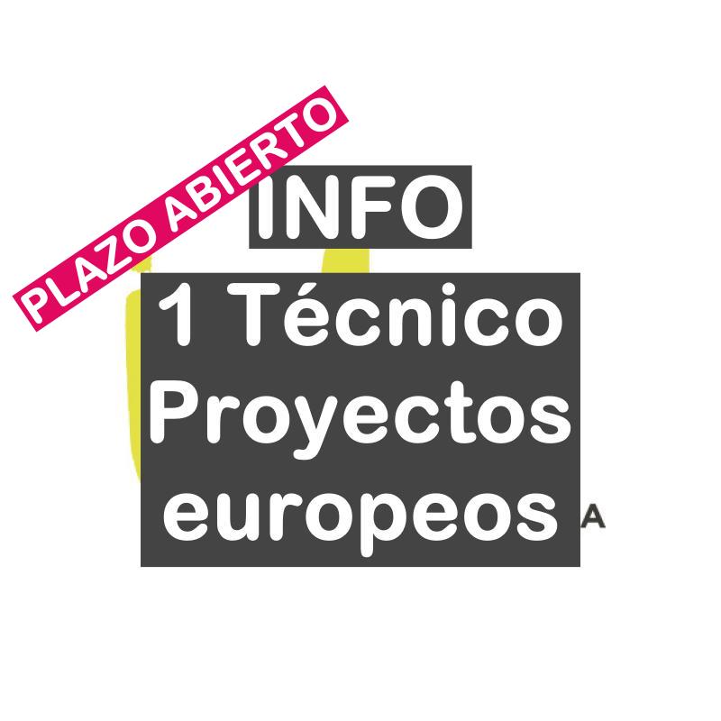 1 Técnico de proyectos europeos para el INFO