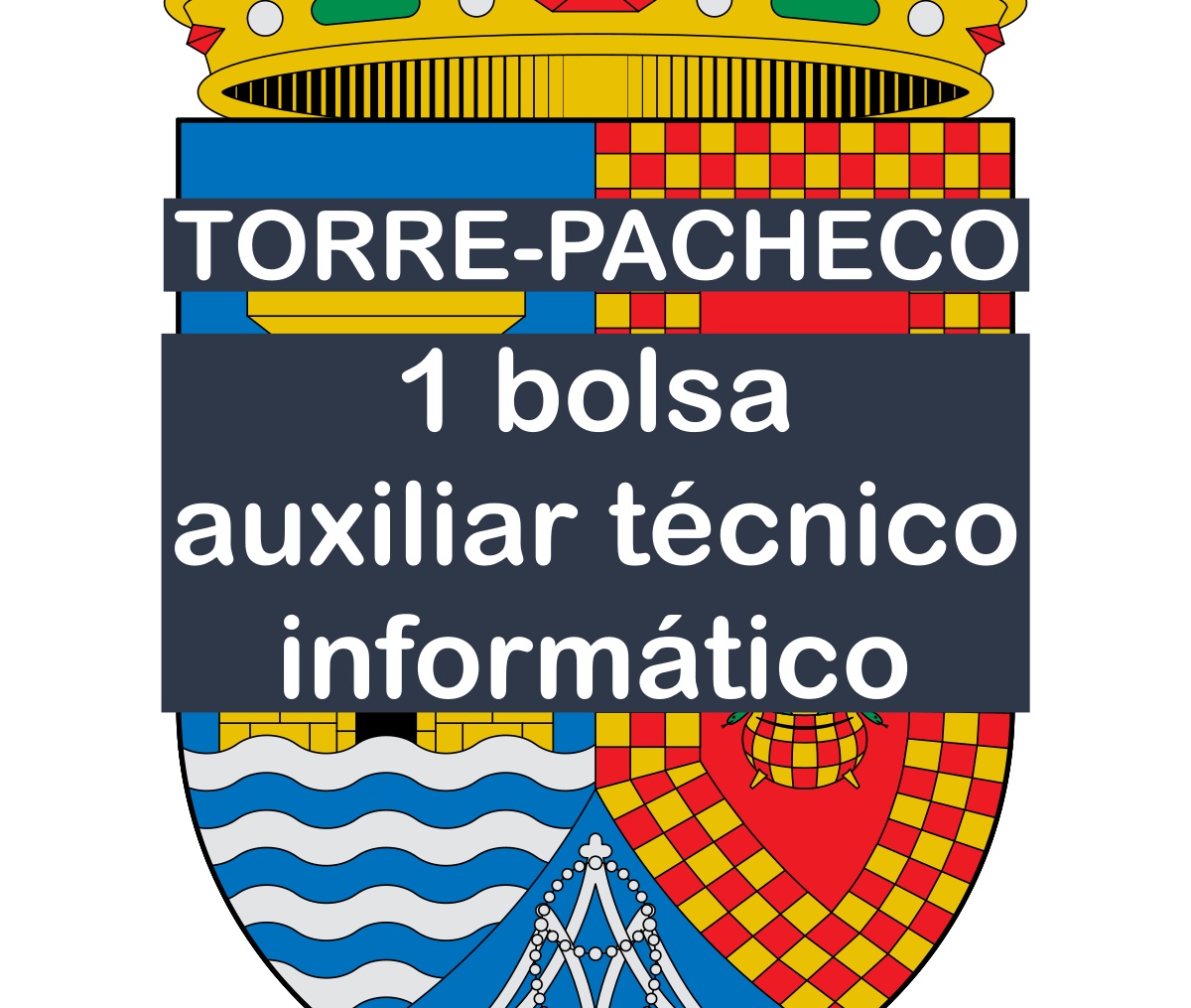 1 bolsa de auxiliar técnico informático en Torre-Pacheco