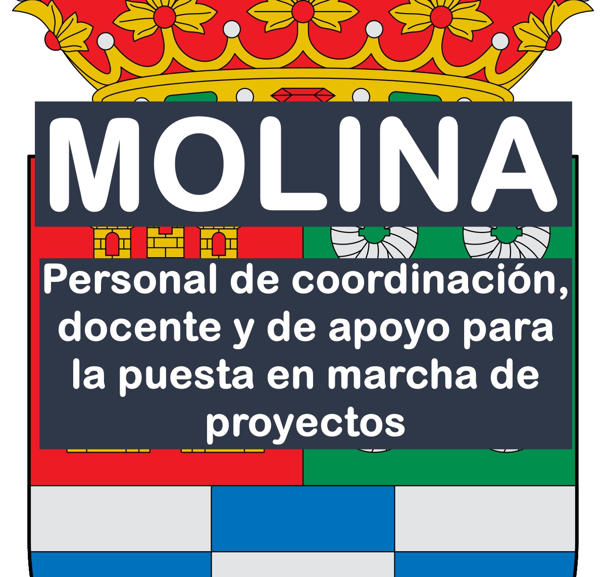 Personal para la puesta en marcha de proyectos en Molina