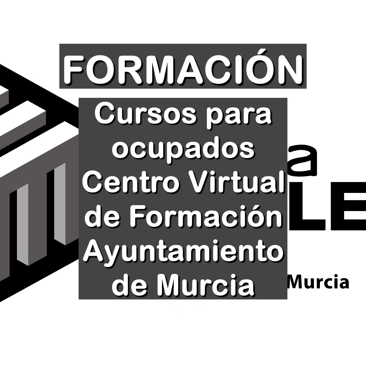 cursos para ocupados del Centro Virtual de Formación del Ayuntamiento de Murcia
