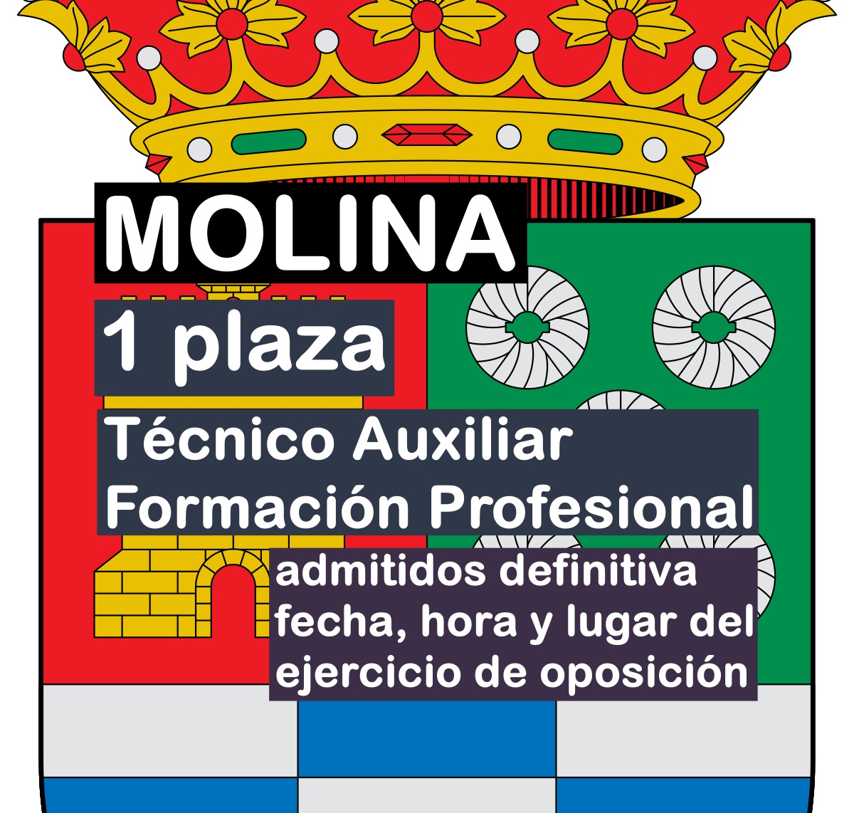 1 Técnico Auxiliar Formación Profesional en Molina de Segura