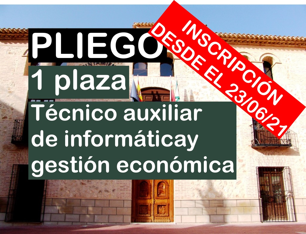 1 Técnico Auxiliar de Informática y Gestión Económica en Pliego