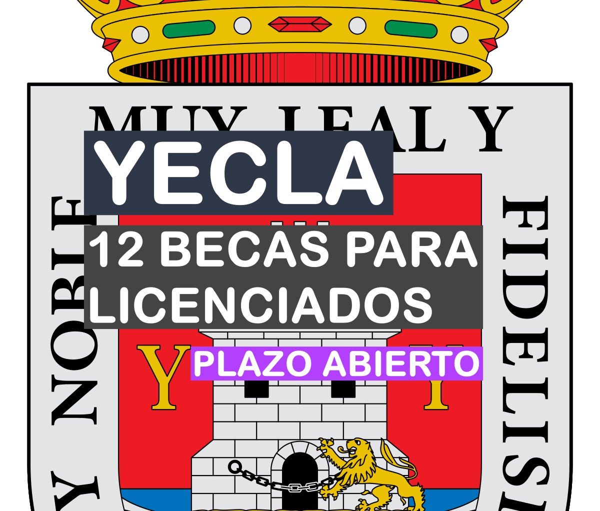 12 becas para licenciados en Yecla