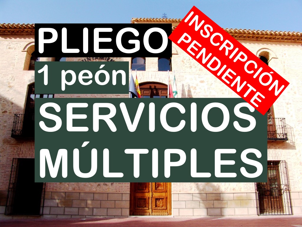 1 peón de servicios múltiples en Pliego