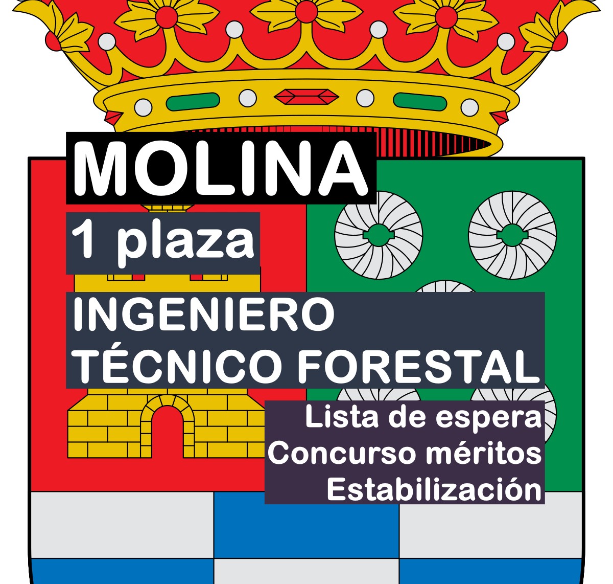 1 Ingeniero Técnico Forestal en Molina