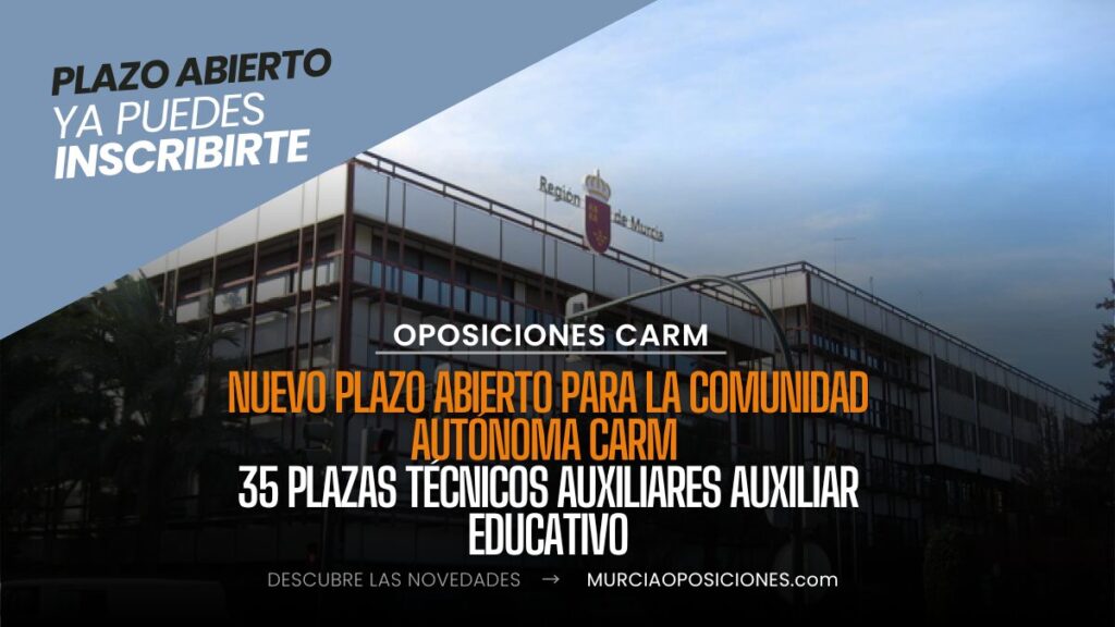 auxiliar educativo