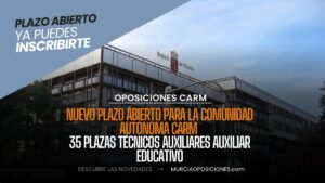 auxiliar educativo