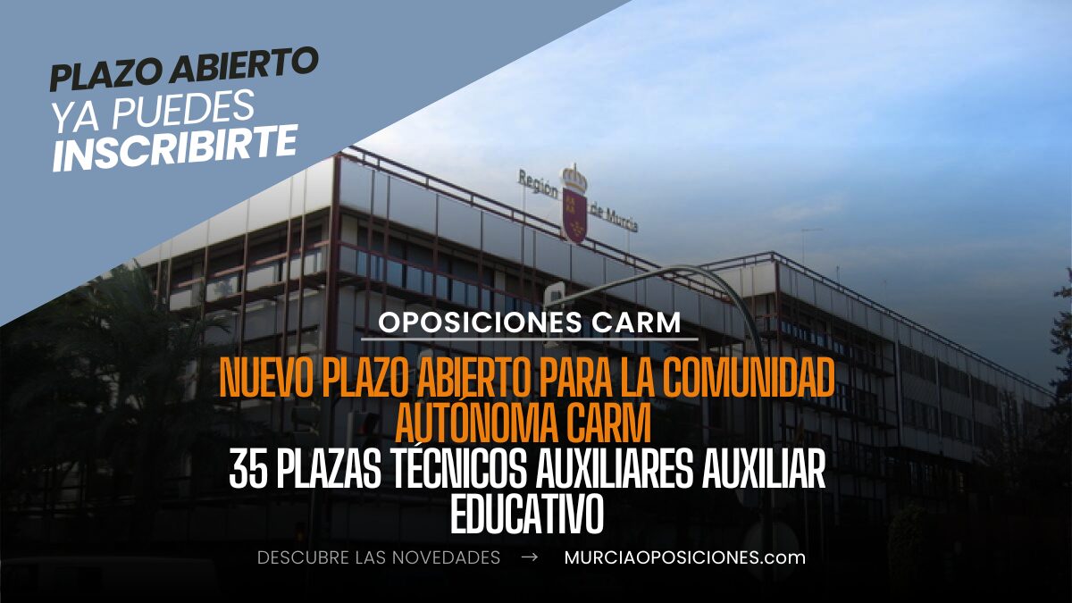 auxiliar educativo
